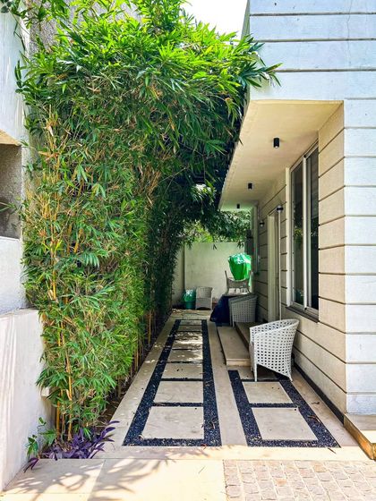 A natural bamboo wall provides an excellent privacy screen and a beautiful green backdrop. Here, it creates a shaded, serene corridor alongside the house, complemented by a modern stone and gravel pathway.