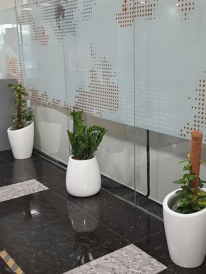 Corporate & Office Plantscaping photo 17