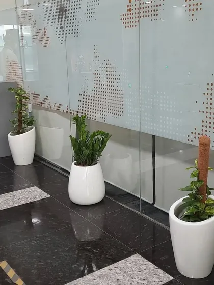 A series of indoor plants in matching white planters arranged along a glass wall with a world map graphic, blending nature with global business themes.
