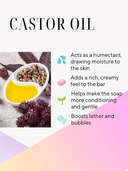 An infographic on Castor Oil, which boosts lather and adds a creamy feel to soap.