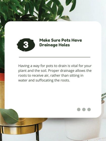 Proper drainage is non-negotiable for potted plants. The drainage holes in these pots allow excess water to escape, preventing root suffocation and ensuring your plant can breathe.