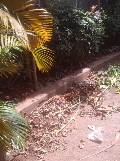 Another angle of our garden cleanup service in action. We handle all the messy bits so you can simply enjoy your beautiful, well kept green space.