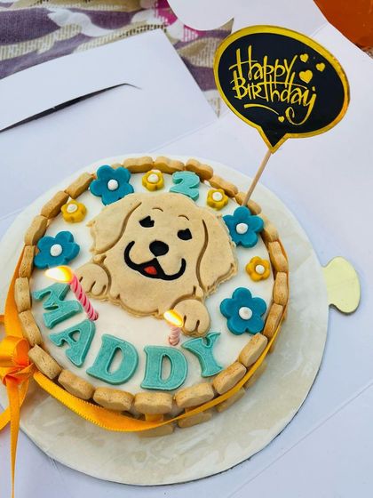 A classic birthday cake design for Maddy's 2nd birthday. It features a cute Golden Retriever face, a border of bone biscuits, and his name spelled out in blue letters.
