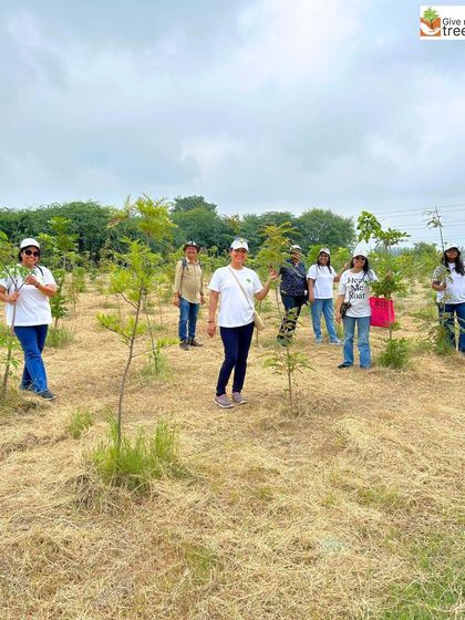 A group of volunteers stands proudly in a field of newly planted trees. Their collective effort has transformed this patch of land and set it on the path to becoming a forest.