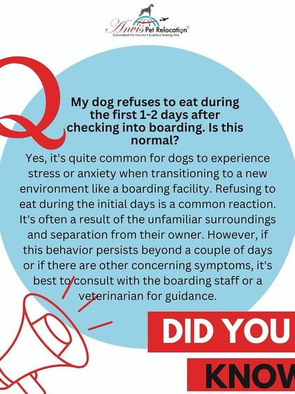 Anvis - Dog Boarding Personalized & Special Care photo 13