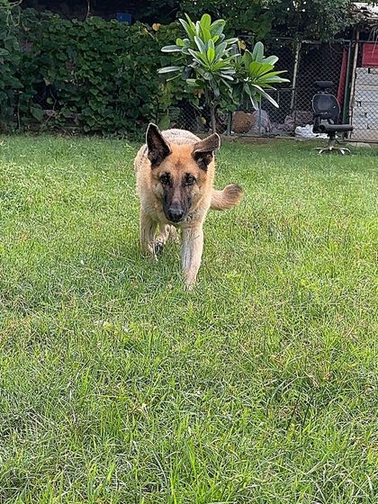 A close-up action shot of Geet running towards the camera, happy and engaged.