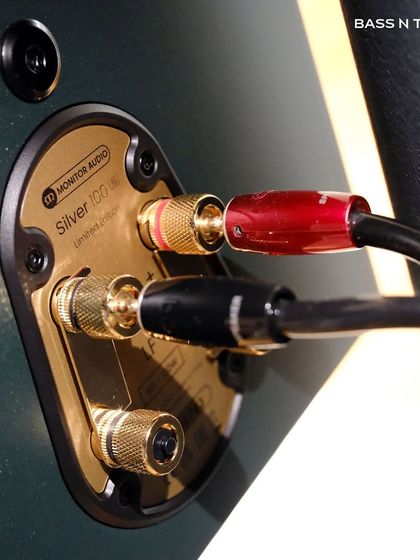 For the Audiophile: High-Fidelity Stereo Setups photo 28