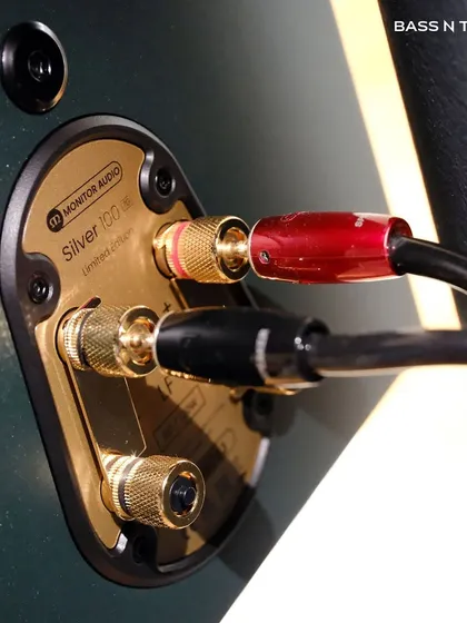 A close-up of the high-quality, gold-plated bi-wire terminals on the Monitor Audio Silver 100 7G, showcasing the attention to detail that ensures a pure signal path.