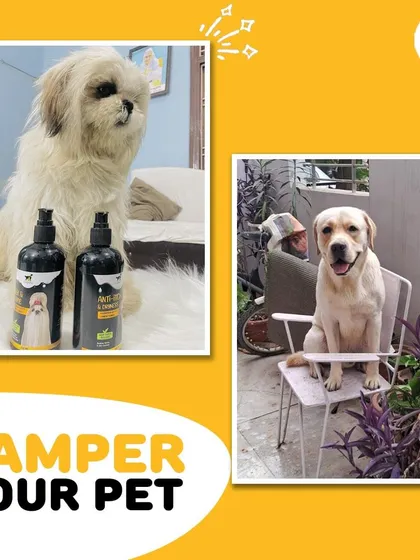 From a fluffy Shih Tzu to a cheerful Labrador, our grooming products are made for pets of all shapes and sizes. Here are a couple of our happy customers showing off their fresh and clean coats.