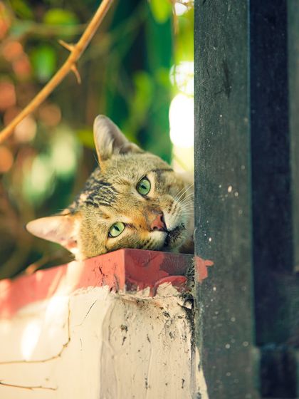 Garima Bhaskar - Photography Services Moody Moments & Details photo 22