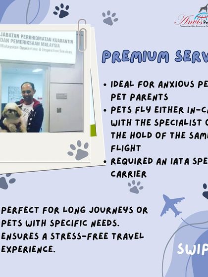 Anvis - Pet Relocation Specialized Care & Travel Options photo 4