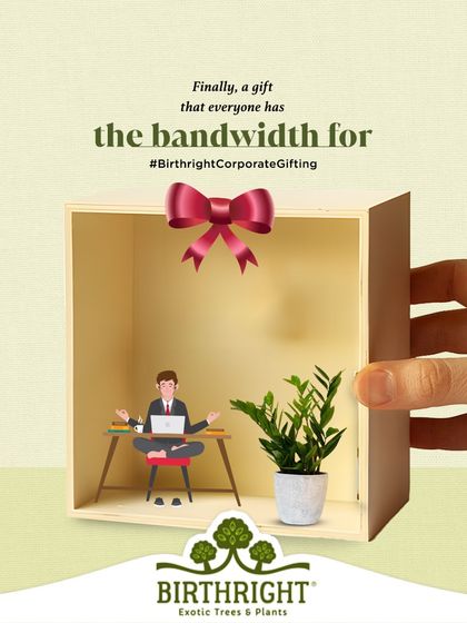 In a world of digital overload, here is a gift that everyone has the bandwidth for. A simple, elegant ZZ plant requires minimal care while providing maximum green benefits, making it the perfect, hassle free corporate gift.