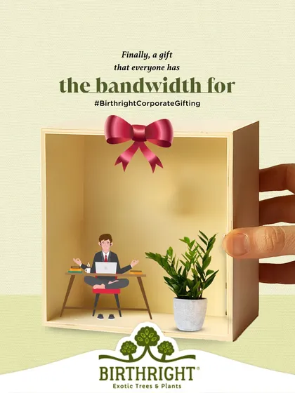 Finally, a corporate gift that everyone has the bandwidth for. A simple, elegant desk plant is a thoughtful way to show appreciation without adding to the clutter.