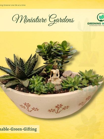 Greening Wonders - Corporate & Personal Plant Gifting Additional Work photo 25