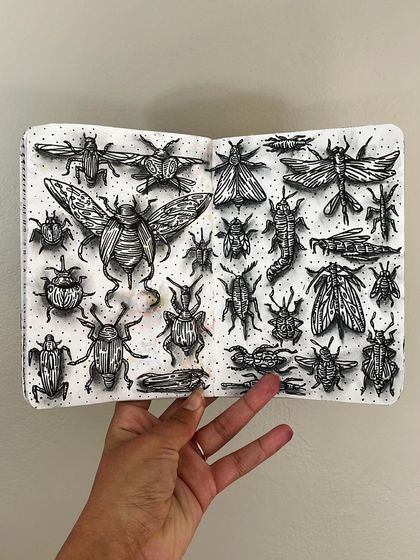 An ink drawing of various insects and beetles in my sketchbook.