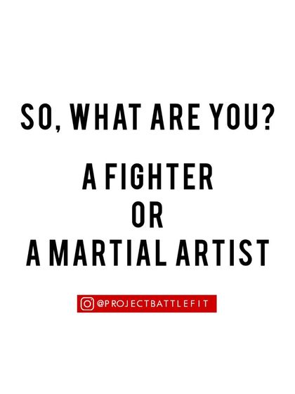 The Martial Artist's Mindset: Real Talk photo 28