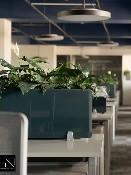 A close-up of the custom planters that serve as dividers between workstations. This detail highlights our use of biophilic design to introduce nature into the workspace, improving air quality and creating a more serene environment.