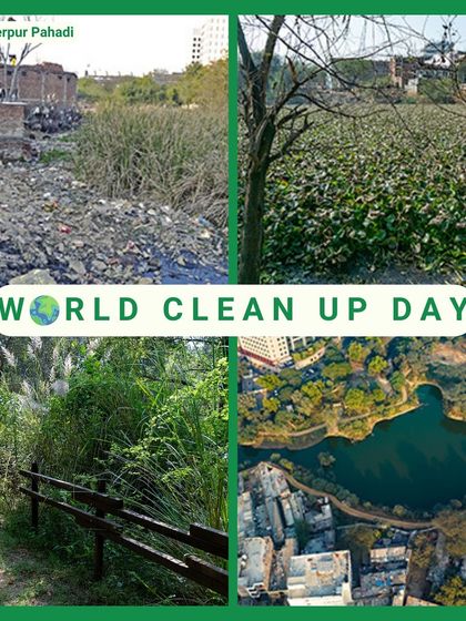 Sikanderpur Pahadi's before and after. A pond suffocated by waste and invasive hyacinths is now a pristine, reflective lake, showcasing one of our most dramatic restoration successes.