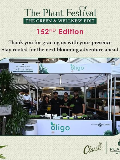 A Platform for Green Businesses photo 7