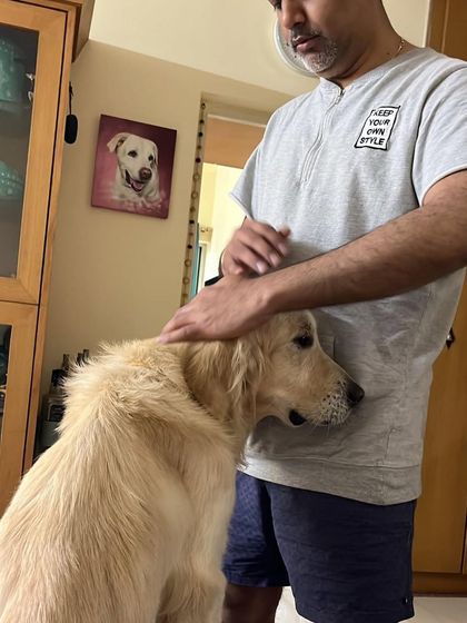 PL Paws - Dog Adoption Services Happy Tails: Our Adoptees in Their Forever Homes photo 111