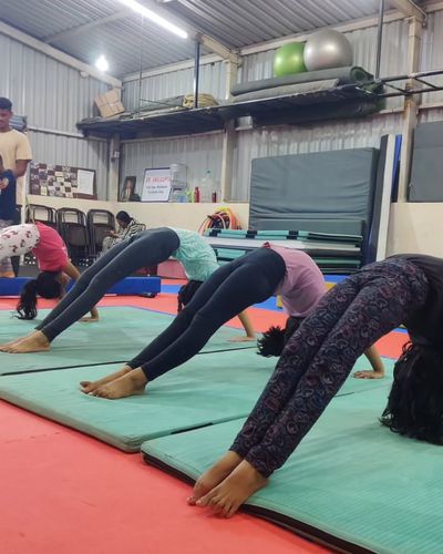 Adult Fitness Classes