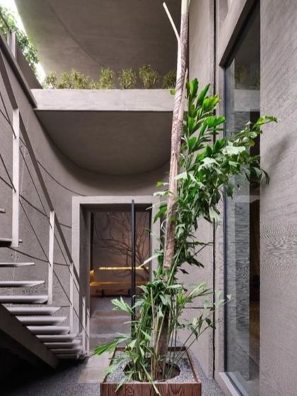 A central courtyard allows a tree to grow through the building's core, reinforcing the connection to nature. This design choice ensures that natural light and greenery are present on every level, making the office a place that breathes and feels alive.