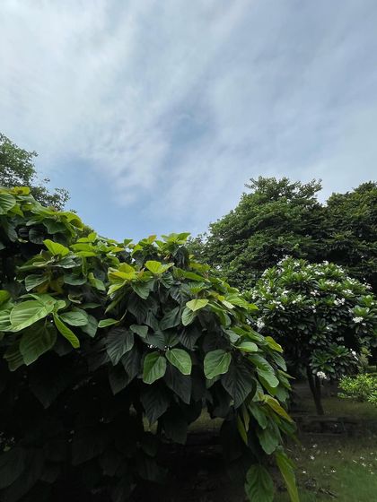 Himalayan & Nature Retreats photo 25