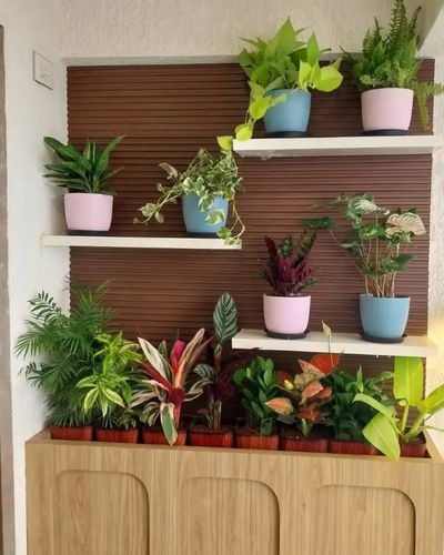 Plant Sales & Nursery