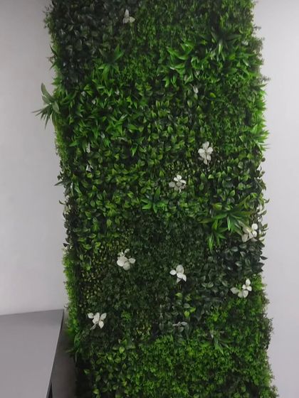 Another angle of a dense green wall panel. The mix of different leaf types provides a rich texture that looks good from any distance.