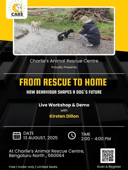 Knowledge is power. This poster for our "From Rescue to Home" workshop with canine behaviourist Kirsten Dillon shows our commitment to education. We empower rescuers, foster parents, and adopters with the skills to help animals transition successfully into loving homes.
