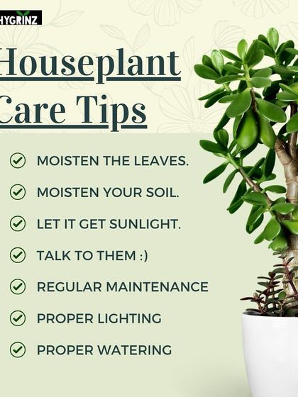 Hygrinz - Garden Maintenance Gardening Know-How: Tips & Techniques photo 36