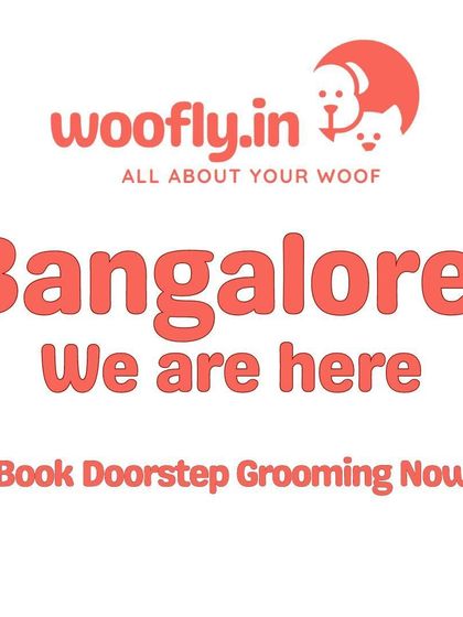 Woofly - At-Home Pet Grooming Services, Pricing, and FAQs photo 9