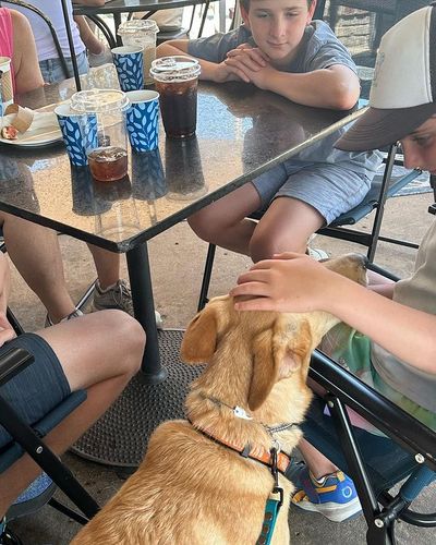 Therapy Dog Training