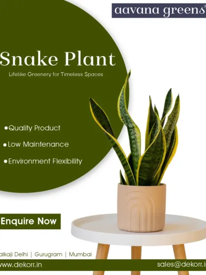 Lifelike Plants & Trees: The Finishing Touch photo 13