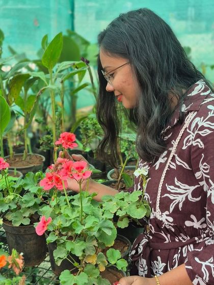 A quiet moment inspecting the geraniums. These are the moments that fill me up, getting to be close to the plants and ensuring every one of them is happy and healthy for our customers.