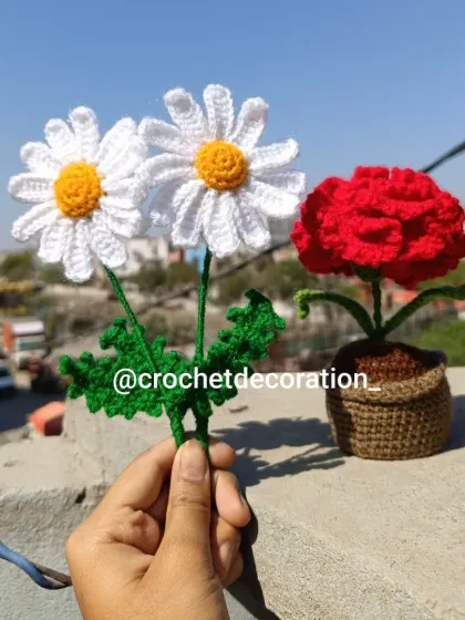 An order ready to be shipped, featuring two daisy stems and a potted red carnation. This shows how you can combine single stems with potted plants.