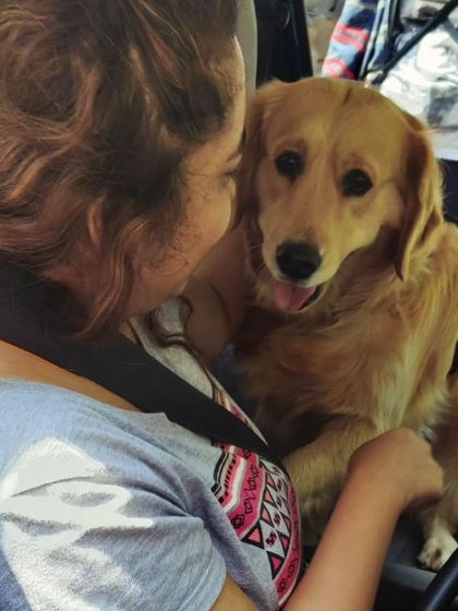 Zoella Dog Training - Puppy Foundation Training My Story & My Pups photo 8