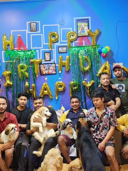 A group photo for Happy the Shih Tzu's birthday. It's hard to get everyone to look at the camera, but it's full of love.