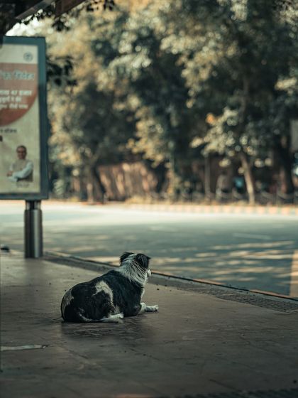 Garima Bhaskar - Photography Services The Soul of the Streets photo 30