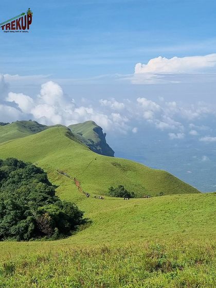 A wide shot of the Netravathi trail, showing the path cutting across the vibrant green meadows under a blue sky.