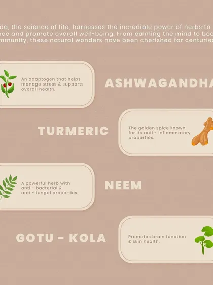 Ayurveda harnesses the incredible power of herbs to restore balance. Adaptogens like Ashwagandha for stress, anti-inflammatory Turmeric, and anti-bacterial Neem are just a few of the natural wonders I use.