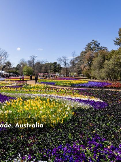 Floriade in Australia is another world-class floral exhibition that inspires my work. The intricate patterns created with flower beds showcase an incredible level of planning and design thinking.