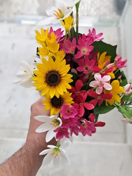 Bhardwaj - Urban Gardening Consultation A Riot of Colorful Flowers photo 36