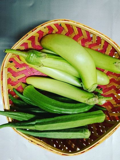 A fresh harvest of light green brinjal and okra. Growing your own means you can try different varieties that you might not find in the store.