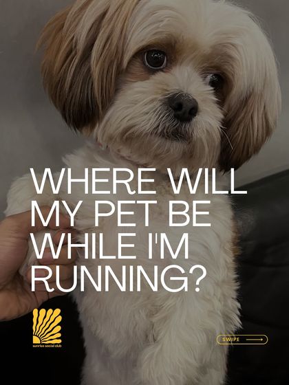 Answering questions about our pet-friendly running events. We make sure every member of the family, including the furry ones, can be a part of the fun.