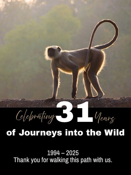 Our Story & Global Community photo 18