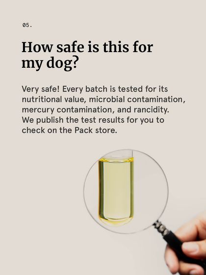 The Pack - Cause-Driven Merchandise The Pack Store: Curated for Your Pet photo 6