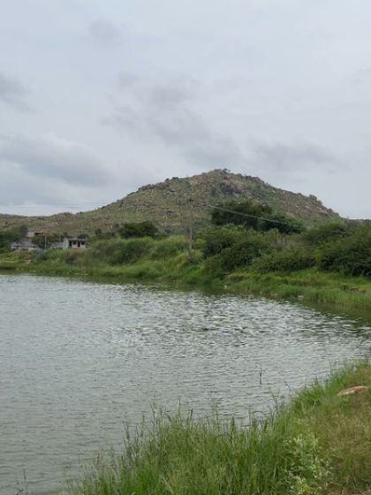 A guest's perspective of the lake and mountains. This photo captures the sense of peace and the beautiful memories created during a stay with us.
