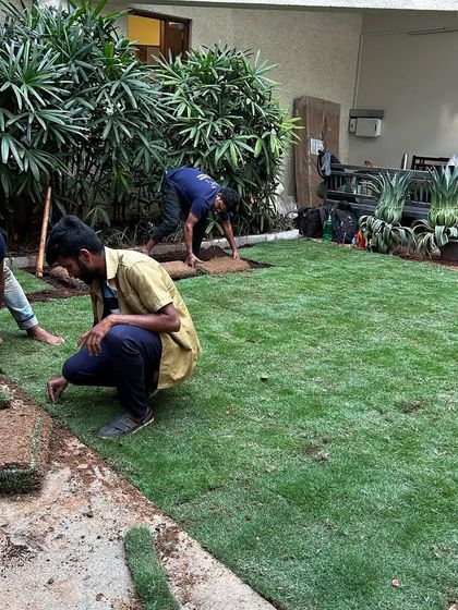 Make My Garden - Garden Design & Landscaping Commercial & Office Greening photo 4