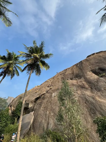 A climber scales a massive rock face under a clear blue sky, framed by palm trees. This image captures the classic beauty of climbing in the Ramanagara region, where challenging routes meet stunning South Indian landscapes.